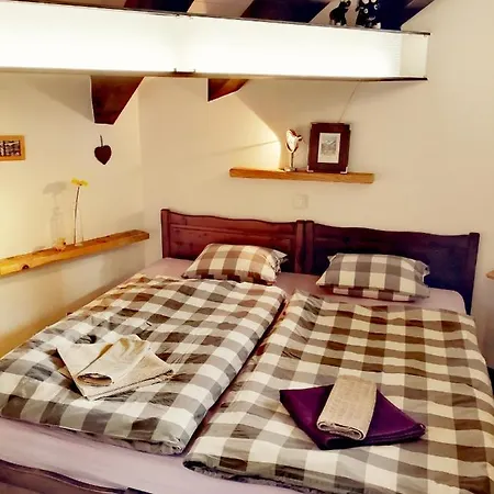 Rooftop Loft Apartament *