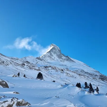Apartment Rooftop Loft *